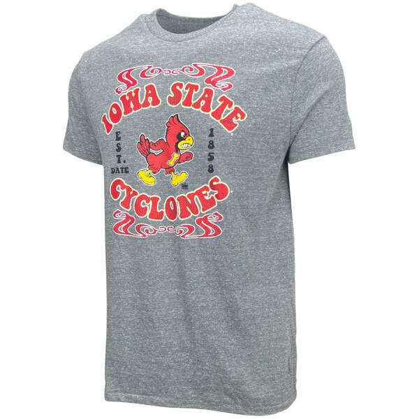 Champion® Iowa State Walking Cy Vintage Rock Gray T-Shirt (was $20.00)